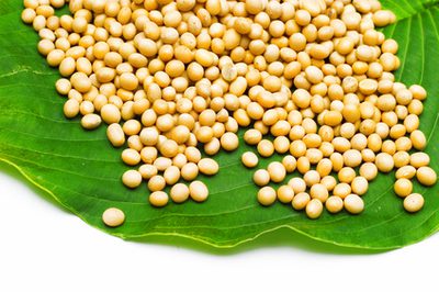 Soy isoflavone - tinh chất mầm đậu nành có tác dụng gì?