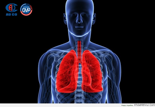 2020 Ung thư phổi và ung thư đại trực tràng tăng mạnh tại Việt Nam