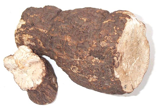 Phục linh (bạch phục linh)