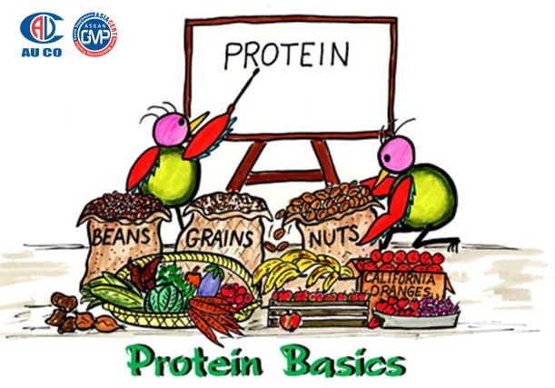 4 nhóm người nên ăn nhiều protein 1