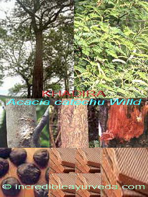 Nhi trà