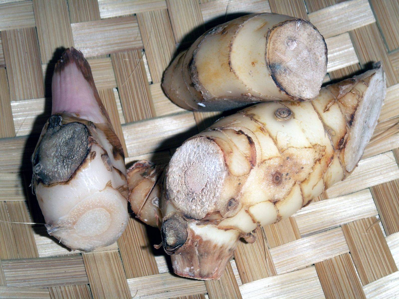 Riềng nếp