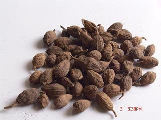 Cây thảo quả (tò ho)