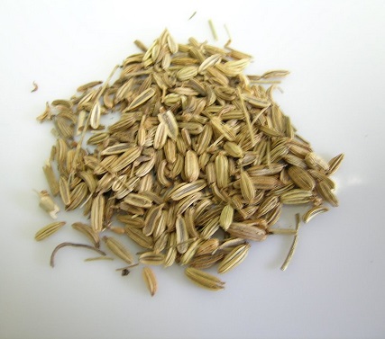 Cây tiểu hồi