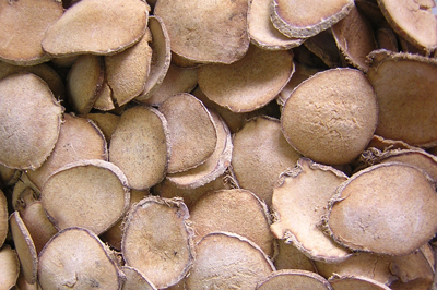 Trạch tả