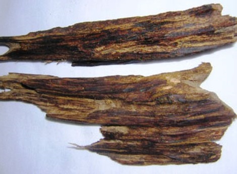 Trầm hương