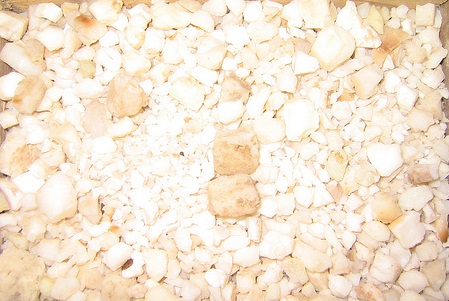Trúc hoàng (phấn nứa)